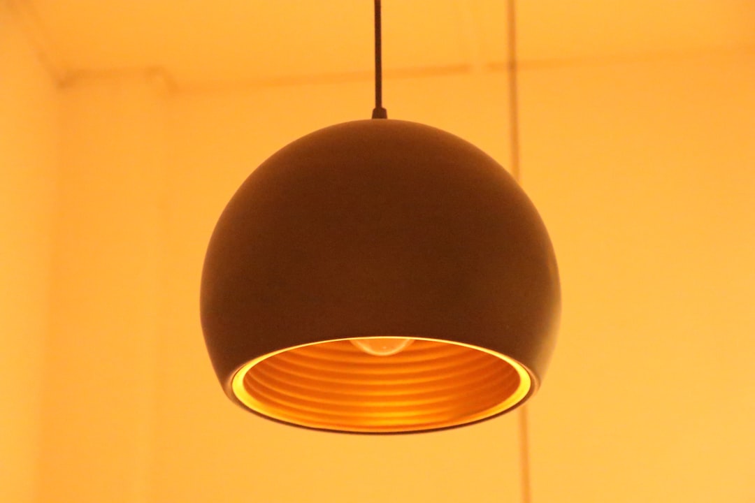 Photo pendant lamp
